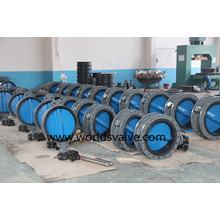 Painting Disc Butterfly Valve